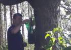 Saúde de Três Lagoas monitora Aedes aegypti na zona rural e margens dos rios