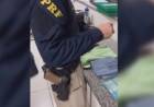 Sacoleiras são flagradas pela PRF com nova modalidade de tráfico: cocaína na roupa