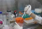 Laboratórios de países em desenvolvimento debatem mercado de vacinas