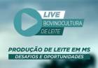 Desafios e Oportunidades: Live do Sistema Famasul vai debater bovinocultura de leite em MS