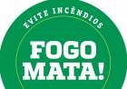 Reflore/MS lança ´8ª Campanha de Prevenção e Combate a Incêndios´ por Live nesta sexta-feira (05)
