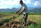 Plano de Reforma Agrária para superar a crise social e econômica é apresentado; prioridades são assentar famílias, gerar renda e alimentar a população