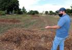 Compostagem de resíduos orgânicos é a nova aposta do Agronegócio para cultivo de plantas e hortifrútis em Três Lagoas
