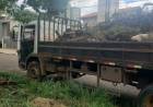 Proprietários tem 10 dias para fazer limpeza de terrenos baldios em Dourados