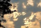Sábado terá sol pela manhã em MS e chuva de fim de tarde, diz previsão