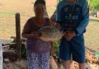 Morre dona JOSEFA DA COSTA GUERREIRO mãe do Prefeito Angelo Guerreiro