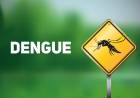 Saúde registra 87 casos suspeitos de dengue em Três Lagoas