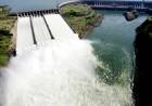 Estudo relaciona mortandade de peixes a operações de hidrelétricas