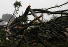 Cidade com vento de 116 km/h no temporal, Ribas do Rio Pardo teve 30 casas destelhadas
