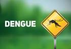 Três Lagoas tem 13 novos casos suspeitos de dengue e 01 leishmaniose recidiva