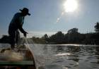 Caixa abre linha de crédito específica para pescadores artesanais