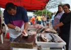 Inscrições para 7ª Feira do Peixe começam segunda-feira (04)