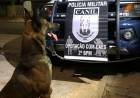 Polícia Militar – CANIL DO 2º BPM de Três Lagoas realiza apreensão de 22kg de maconha