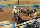 2º Campeonato de Ranch Sorting agita Três Lagoas nesta sexta e sábado (04 e 05)