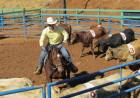 Campeonato de Ranch Sorting será realizado neste fim de semana