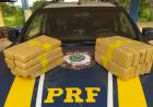 Passageiro de ônibus é preso com 13,2 kg de maconha