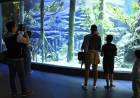 Bioparque Pantanal vai funcionar durante o Carnaval