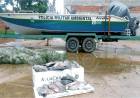 PMA de Três Lagoas apreende 600 metros de redes de pesca no rio Paraná e recolhe 31 kg de peixes e doa para instituição que atende famílias em vulnerabilidade