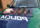 PMA de Rio Negro prende e autua caçadores campo-grandenses em R$ 31 mil e apreende três jacarés e um quati abatidos, pistola 9 mm, rifle calibre 22 e 118 munições