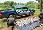 PMA de Naviraí autua em R$ 5,4 mil dois pescadores profissionais paranaenses por pesca e transporte ilegal de pescado e apreende 138 kg de peixes