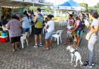 CCZ e Protetoras atenderam mais de 600 animais no final de semana