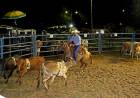 1º Ranch Sorting Estância Rebucci 2023 acontece neste sábado (29) em Três Lagoas