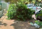 Prefeitura omissa não pune proprietários por falta de manutenção nas  calçadas 