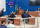 Câmara aprova multa para omissão de socorro a animais atropelados