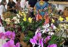 Casa do Artesão recebe, nos dias 24 e 25, mais uma edição da Exposição de Orquídeas e Rosas do Deserto