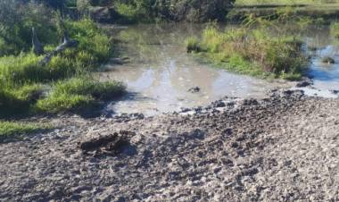 Polícia Militar Ambiental de Três Lagoas autua infratora em R$ 23 mil por degradar nascentes e áreas protegidas de matas ciliares de córrego