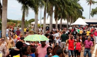 Inscrições para comercialização de produtos no entorno do Cemitério Municipal no Dia de Finados começam dia 14