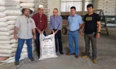 Prefeito Angelo Guerreiro visita empresas de processamento de mandioca em Ivinhema