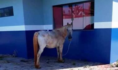 Inaugurado recentemente em Amambai, Parque do Panduí já está abandonado