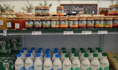 Setor de orgânicos fatura R$ 4,6 bi em 2019; alta anual foi de 15%