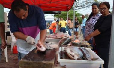 Inscrições para a tradicional Feira do Peixe abrirão na próxima segunda-feira