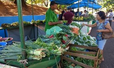 Campo Grande: Feiras livres voltam a funcionar com regras para evitar aglomerações e reforço na higienização