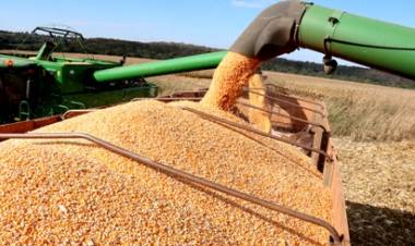 China é o destino de 79? produção de soja exportada pelo Mato Grosso do Sul