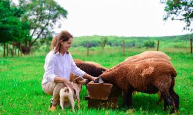 “Transformando Vidas”: mais do que aumentar a lucratividade, ovinocultura levou Izilda a superar uma severa depressão