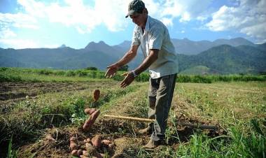 Plano de Reforma Agrária para superar a crise social e econômica é apresentado; prioridades são assentar famílias, gerar renda e alimentar a população