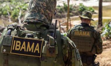 Com vagas para cidades de MS, Ibama abre concurso com 1,4 mil vagas temporárias