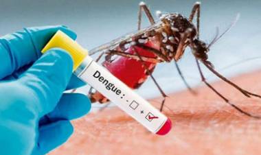 Volta a subir o número de casos notificados suspeitos de Dengue em Três Lagoas