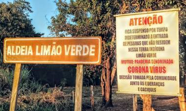 Saúde Indígena: emergência ou crise permanente? Este é o tema do #CaféDemocrático da APD nesta terça, às 16 horas (MS)