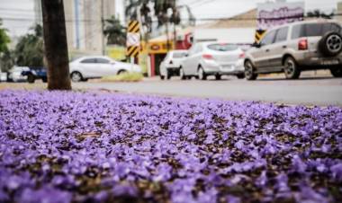 Friozinho e chuva marcam início da primavera, mas semana termina com registro de 39ºC em MS
