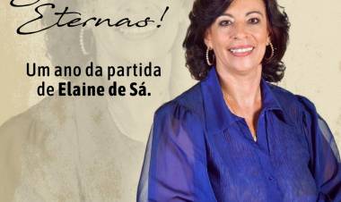 Um ano sem professora Elaine de Sá