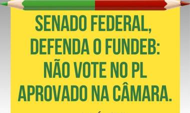 Fundeb precisa valorizar a escola pública e seus profissionais