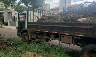 Proprietários tem 10 dias para fazer limpeza de terrenos baldios em Dourados