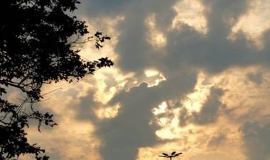 Sábado terá sol pela manhã em MS e chuva de fim de tarde, diz previsão