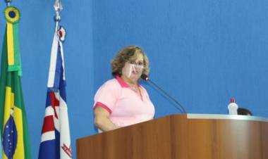 No Dia Internacional da Mulher, a Presidente do CMDM defende empoderamento, proteção e protagonismo feminino em palestra na Câmara