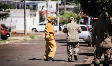bandido trapalhão que tentou invadir casa em Campo Grande