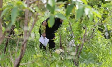 Pedestre é atropelado por caminhonete, arremessado e corpo encontrado 1h depois em matagal